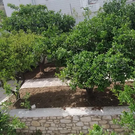בית הארחה Aegeon Garden פארוס