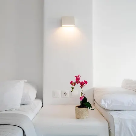 Aegeon Garden בית הארחה 3*