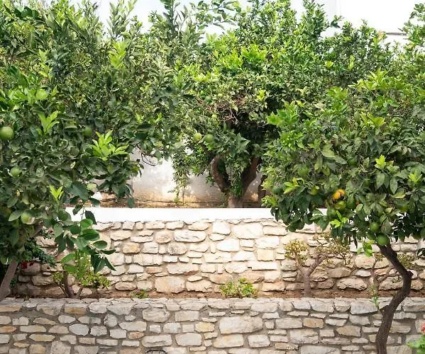 בית הארחה Aegeon Garden פארוס